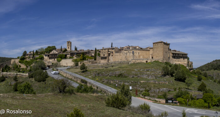 RPedraza-1-2